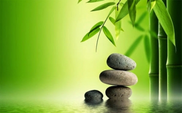 Chấp là gốc từ si mê, là nhân của đau khổ